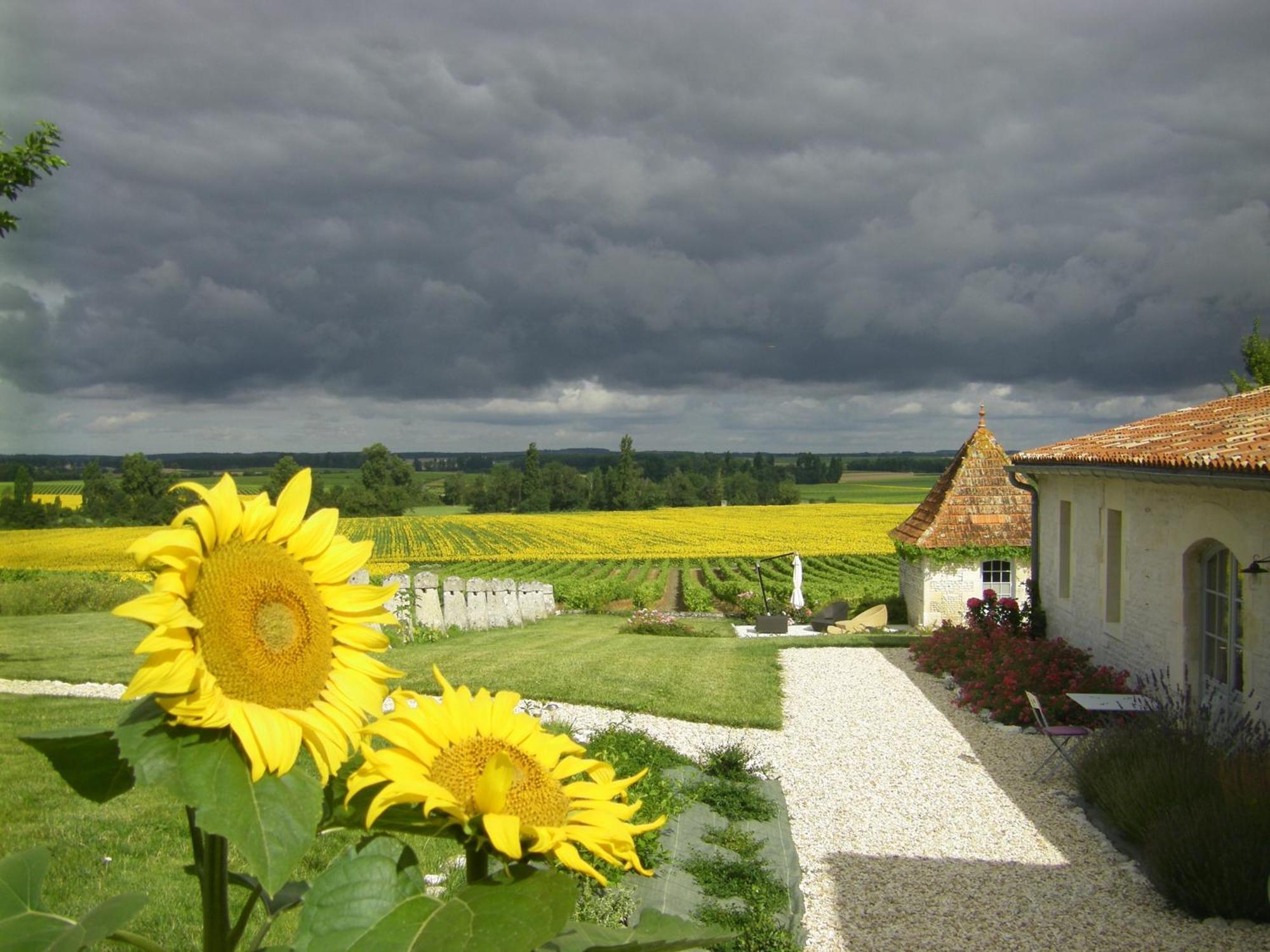 Chambre D'Hotes Clos Des Pierres Blanches Brie-sous-Archiac Exterior foto